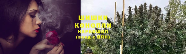 хмурый Белокуриха