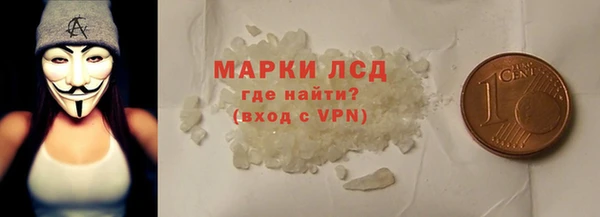 шишки Беломорск