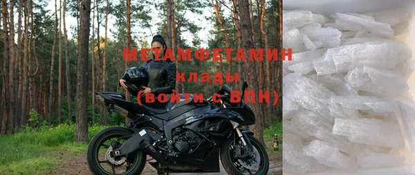 хмурый Белокуриха