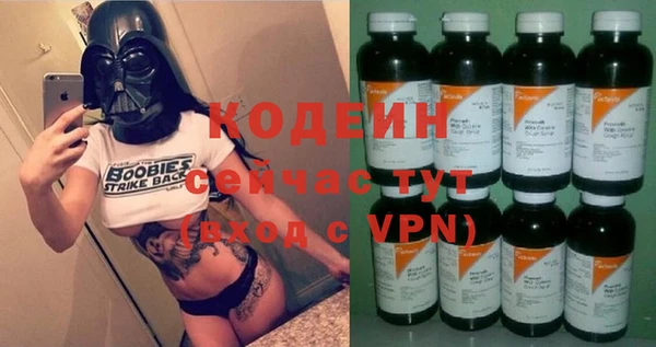 хмурый Белокуриха