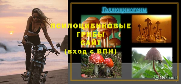 шишки Беломорск