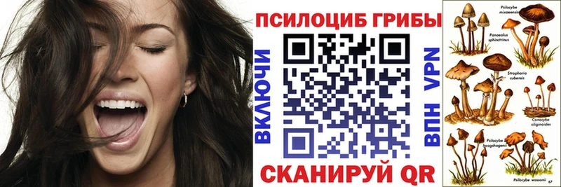 Псилоцибиновые грибы мицелий  Губкинский 