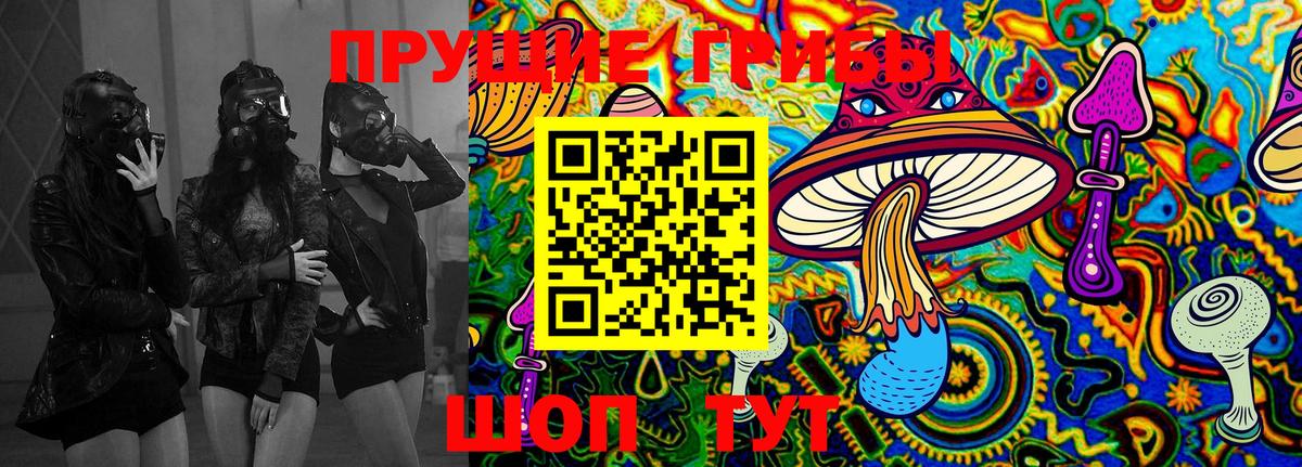 Галлюциногенные грибы MAGIC MUSHROOMS  Галлюциногенные грибы Cubensis  Губкинский 