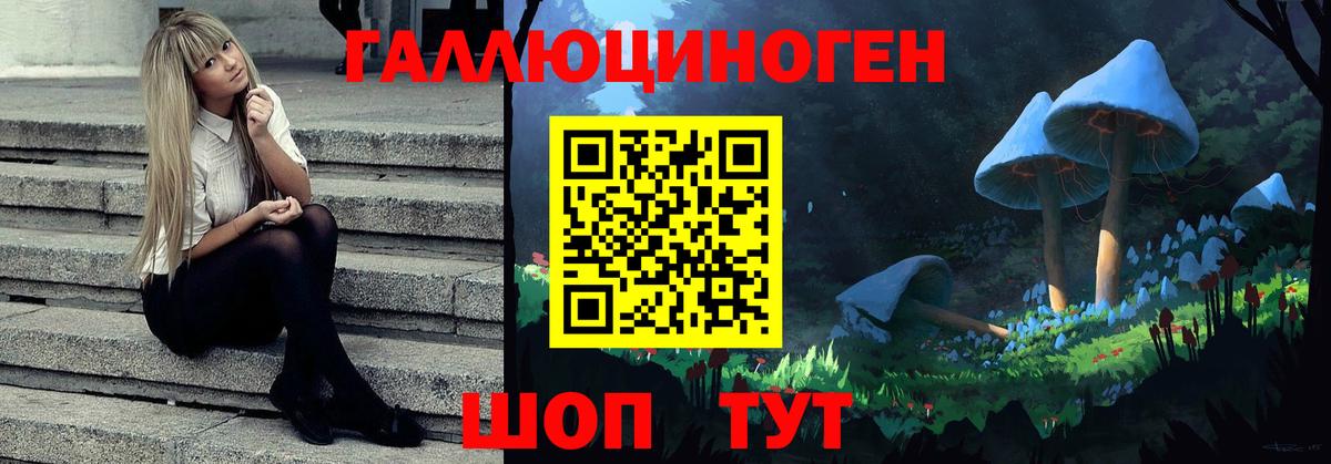 Псилоцибиновые грибы Psilocybine cubensis Губкинский
